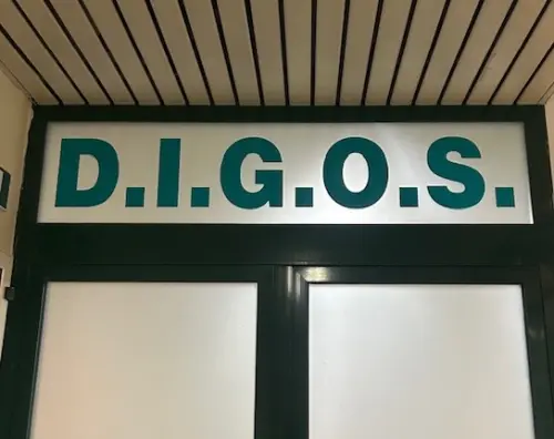 Pavia, 19enne arrestato per propaganda neonazista e apologia della Shoah: 15 perquisizioni in tutta Italia