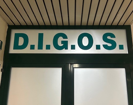 Pavia, 19enne arrestato per propaganda neonazista e apologia della Shoah: 15 perquisizioni in tutta Italia