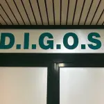 Pavia, 19enne arrestato per propaganda neonazista e apologia della Shoah: 15 perquisizioni in tutta Italia