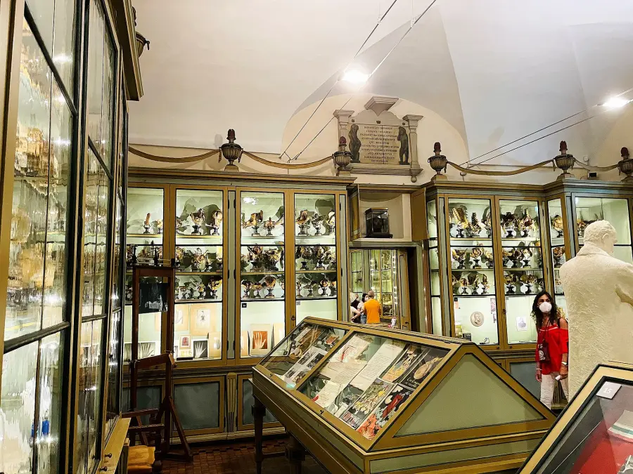 Musei di Pavia: guida pratica a collezioni, biglietti e orari