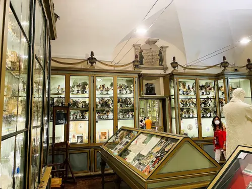 Musei di Pavia: guida pratica a collezioni, biglietti e orari