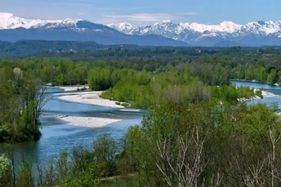 Parco del Ticino vicino Pavia: dove entrare, percorsi naturalistici e fauna da osservare