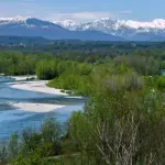 Parco del Ticino vicino Pavia: dove entrare, percorsi naturalistici e fauna da osservare