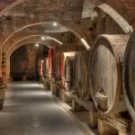 Cantine Casteggio: dove degustare i vini dell'Oltrepò