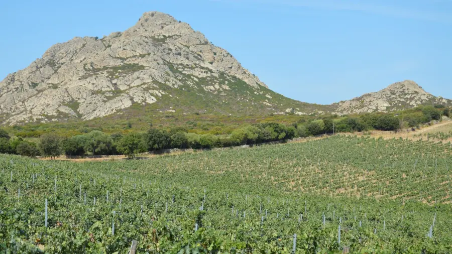 Brallo di Pregola: cosa fare in alta Valle Staffora